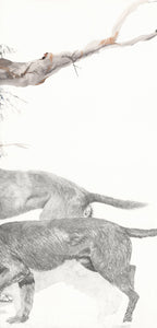 Family Tree